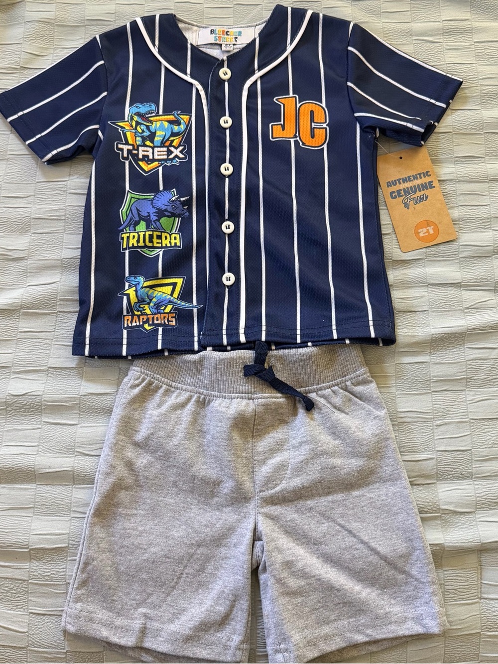 Little Boys Dino Outfit Size 2T